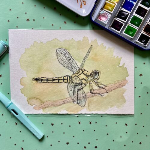 libélula en rama